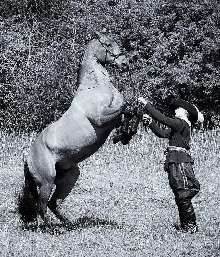 Action-Horses 001-008-020 0840